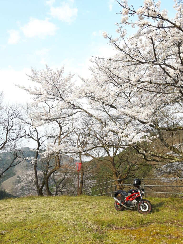 【もう迷わない】バイク免許の取り方！-あなたもバイクに乗りませんか-【種類/費用/期間】