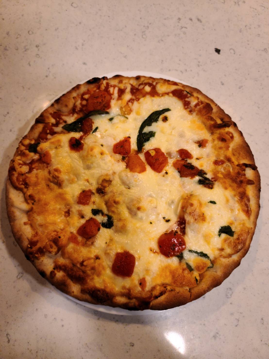 【アメリカ駐在ブログ】アメリカの冷凍ピザ【外は雪だから家でピザ】